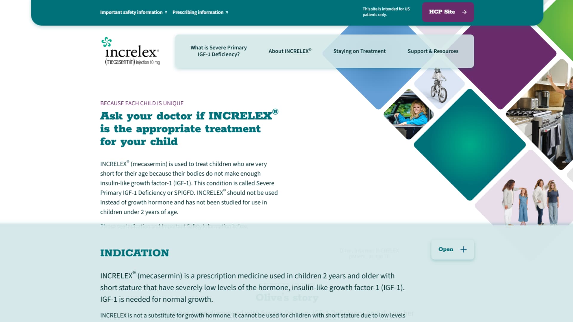 Screenshot of the INCRELEX WordPress project
